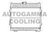AUTOGAMMA 103033 Radiator, engine cooling